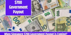 $700 Government Payout